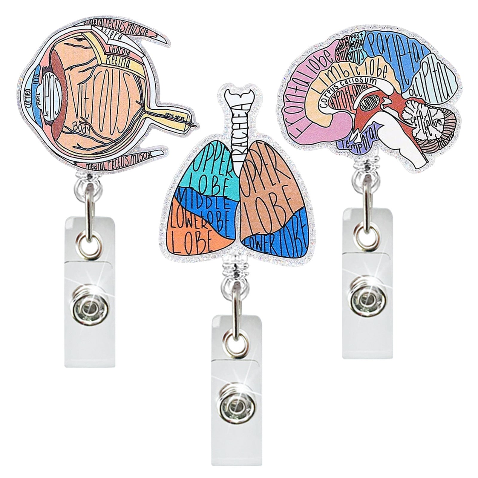 Wholesale Special Nurse Acrylic Creative Organ Telescopic Buckle